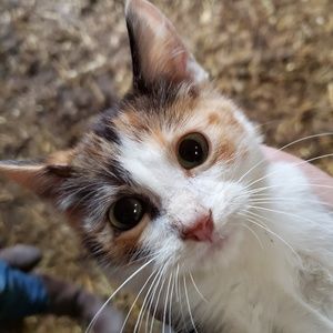 Meet your Posher, Ldog8107